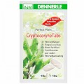 Plant fertilisers