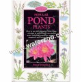 Popular Pond Plants