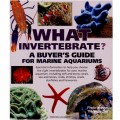 WHAT INVERTEBRATE
A BUYERS GUIDE FOR MARINE AQUARIUMS