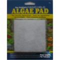 Algae removal