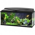 CIANO AQUARIUM 80 BLACK
