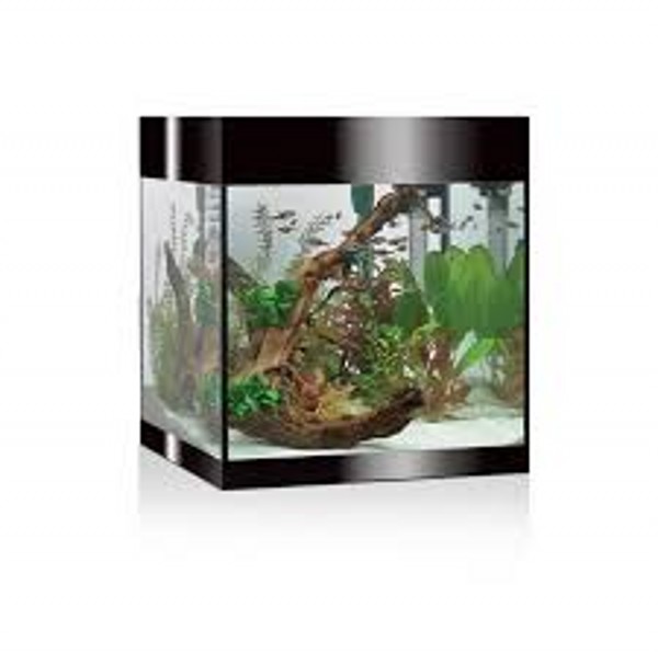 askoll aquarium pump