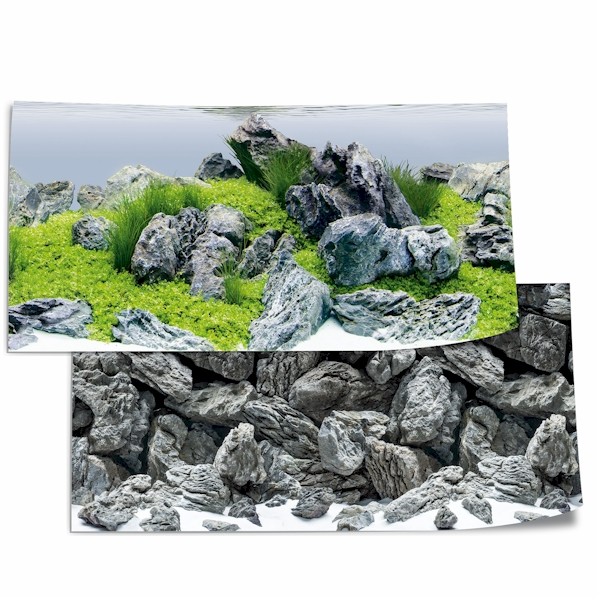 Juwel Background Poster 4 S 60x30xcm The WaterZoo Tropical fish