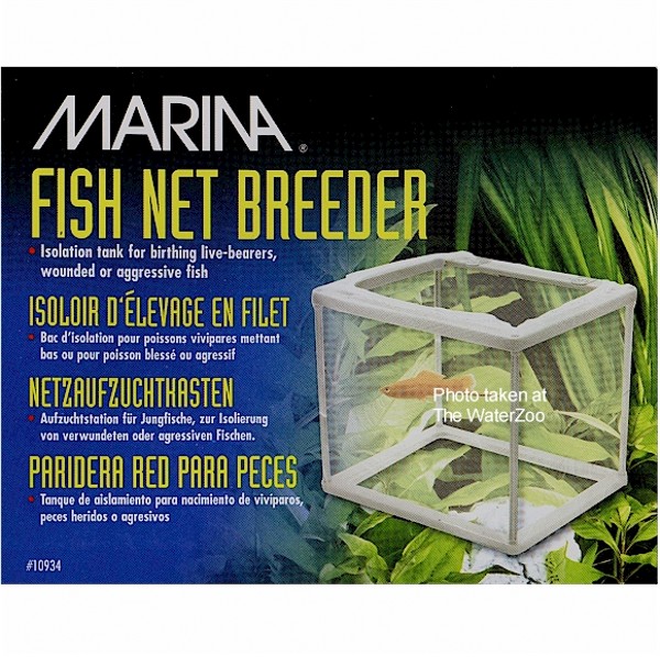 Net Breeding Trap The WaterZoo Tropical fish marine fish & aquariums
