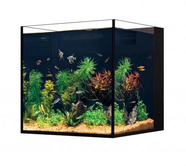 Red Sea Desktop Nano Cube Aquarium The WaterZoo Tropical fish
