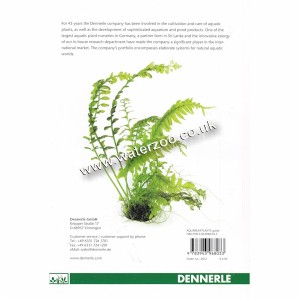 aquarium plants books aquarium