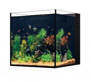 Ex display fish tanks shop
