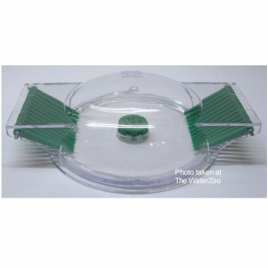 Jbl Snail Trap Lim Collect 2 | The WaterZoo Tropical fish | marine fish & aquariums