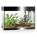 Aquariums & cabinets