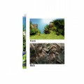 JUWEL BACKGROUND POSTER 1 S 60 X 30 CM