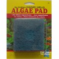 API ALGAE PAD FOR GLASS