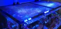 JUMPGUARD PRO 75CM X 75CM DIY AQUARIUM COVER