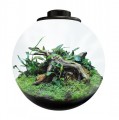 BIOART BOWL 285 BLACK
