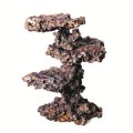 CARIBSEA CORAL TREE KIT
