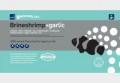 FROZEN GARLIC BRINESHRIMP 250G