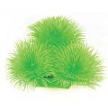 HUGO JAPONICA LIME 10CM