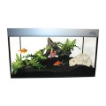 HUGO SIMPLICITY 24X15X12 GLASS AQUARIUM