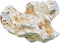 MITAKE MOUNTAIN ROCK 2.99 PER KG