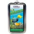 OCEAN NUTRITION GREEN SEAWEED 30G WITH FREE CLIP