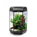 AQUAEL HEXASET 60 LITRE AQUARIUM