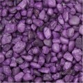 COATED PURPLE AQUARIUM GRAVEL 2KG