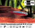 CARDINAL TETRA XL      BUY 6 FOR 18.95
