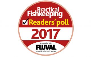 Readers poll 2017 Award
