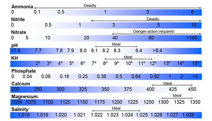 water quality test sheet