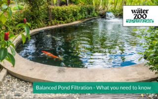 Balanced Pond Filtration - What you need to know