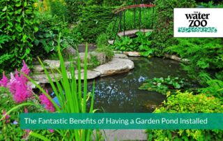 The Fantastic Benefits of Having a Garden Pond Installed