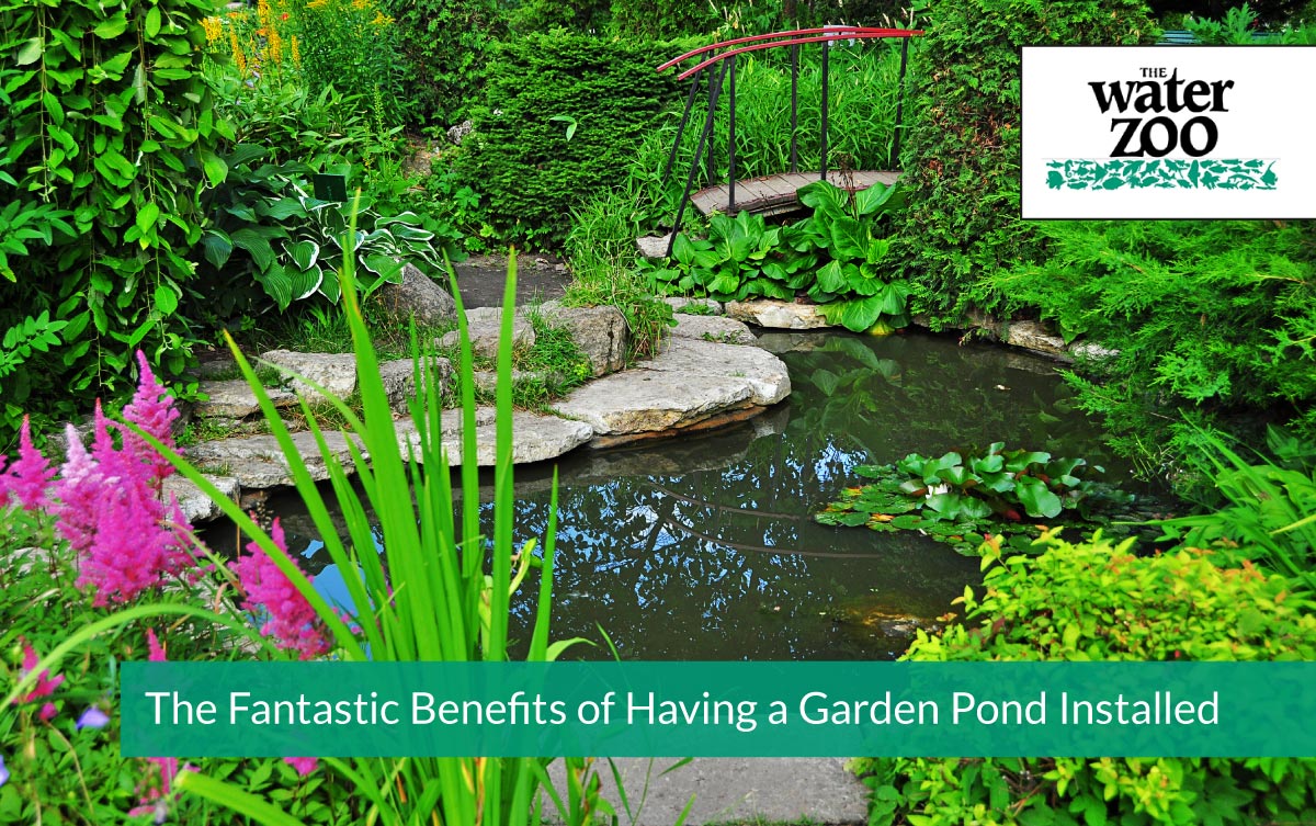 The Fantastic Benefits of Having a Garden Pond Installed